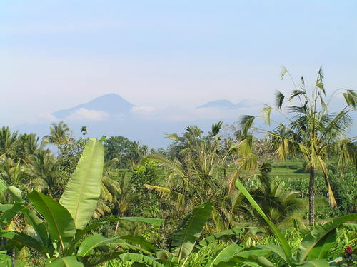 2005_indonesiatrip_273_2